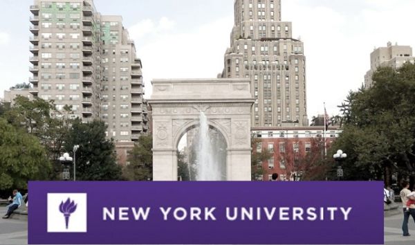 New York University Scholarships