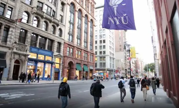 New York University Scholarships