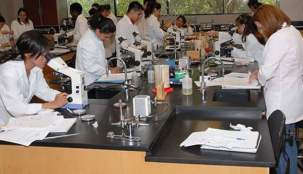 Top Scholarships for Biology Major