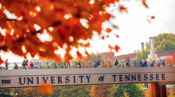 University of Tennessee Scholarships