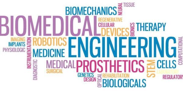 Best Biomedical Engineering Schools in the USA