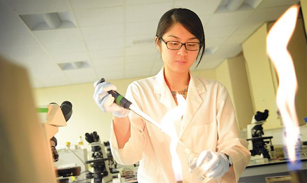 Best Colleges to Study Zoology in the USA