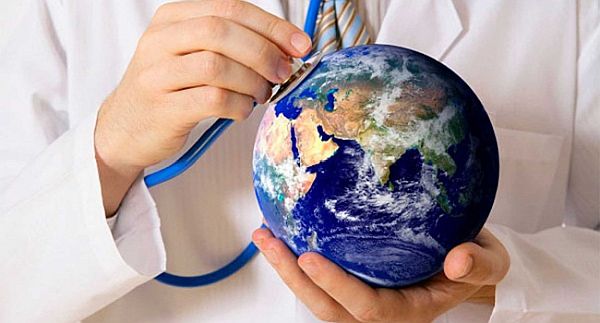 Best Public Health Schools in the USA