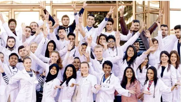 Best Public Health Schools in the USA