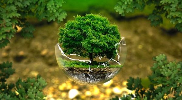 Environmental Science Degree Programs in the USA