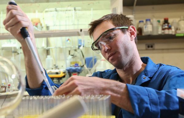 Top Chemical Engineering Schools