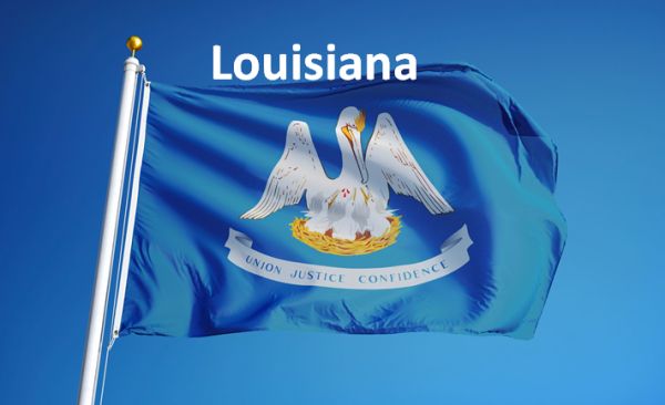 Top College in Louisiana State