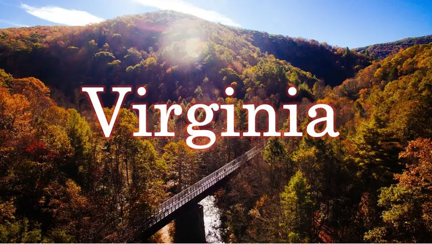 Top Colleges to Study in Virginia