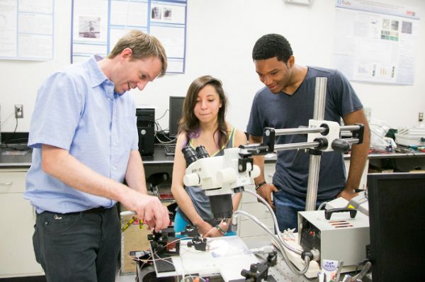 Top Engineering Schools in the World