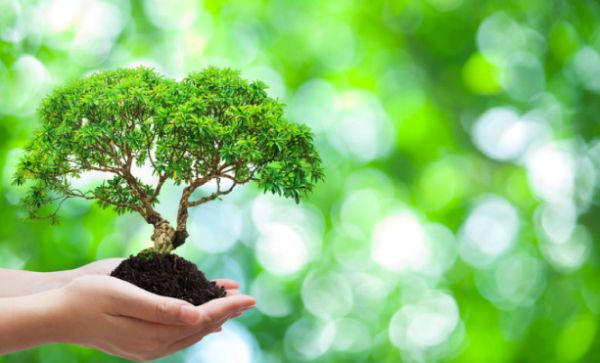 Top Environmental Science Scholarships