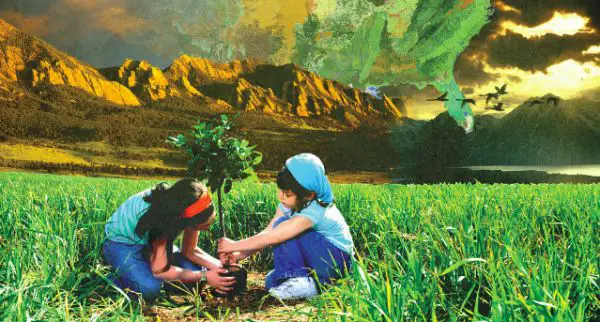 Top Environmental Science Scholarships