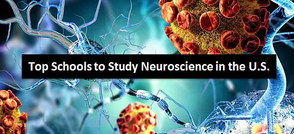 Top Schools to Study Neuroscience in the U.S.