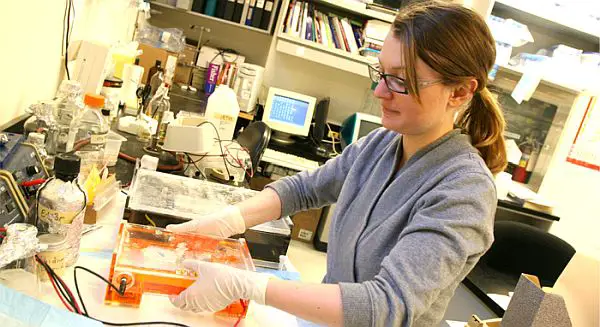 Top Schools to Study Neuroscience in the U.S.