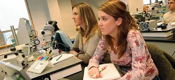 Top Schools to Study Neuroscience in the U.S.