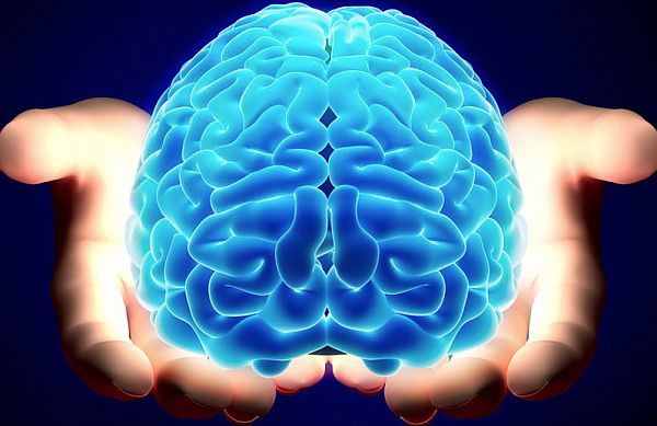 Top Schools to Study Neuroscience in the U.S.