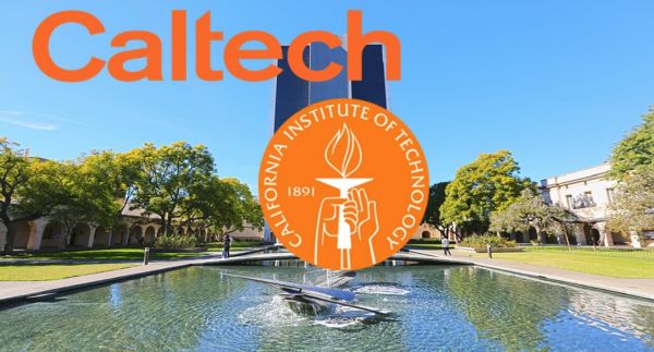 Top Universities in the World