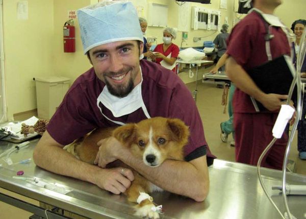 Veterinary Scholarships