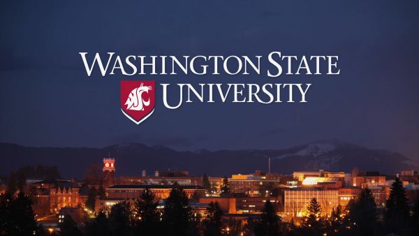 Washington State University Scholarships