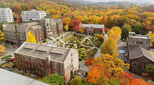 Top Universities to Study in South Korea