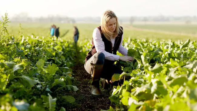Top Agriculture Colleges to Study in the USA - 2021 HelpToStudy.com 2022