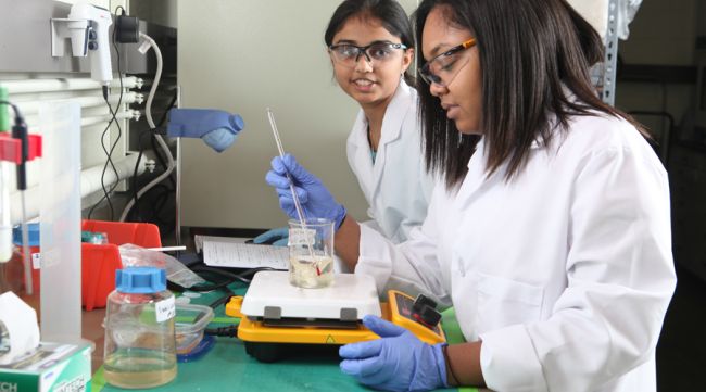 Top Environmental Engineering Schools in the U.S.