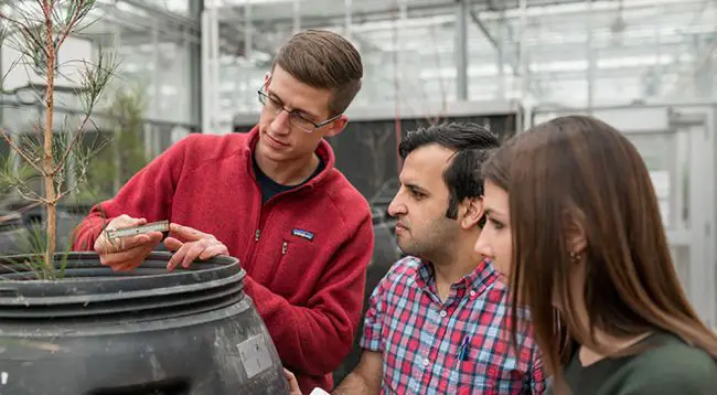 Top Environmental Engineering Schools in the U.S.