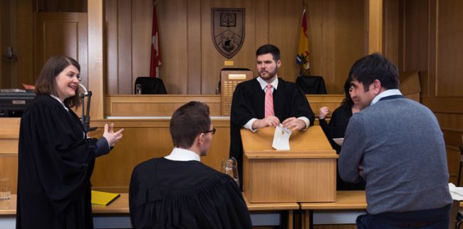 Top Law Schools to Study in Florida