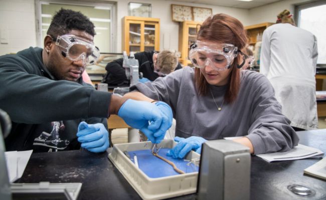 Top Universities to Study Biology in the U.S.