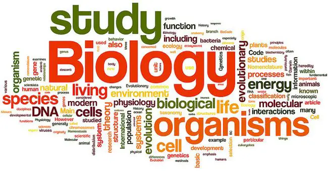 Top Universities to Study Biology in the U.S.