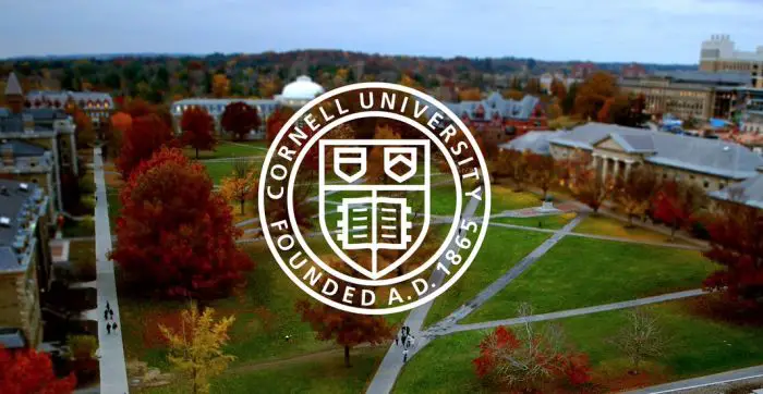 Top Universities to Study in New York