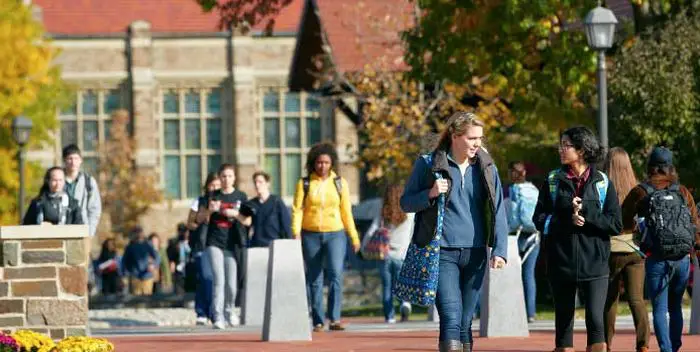 Top Universities to Study in New York