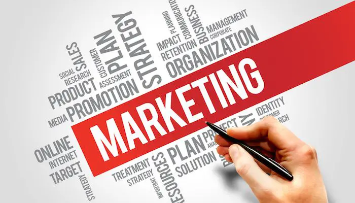 Top Schools to Study Marketing in the World