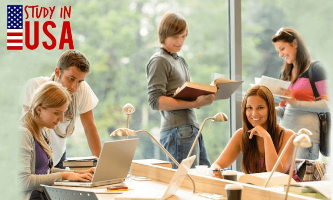 Top Schools to Study in the U.S.