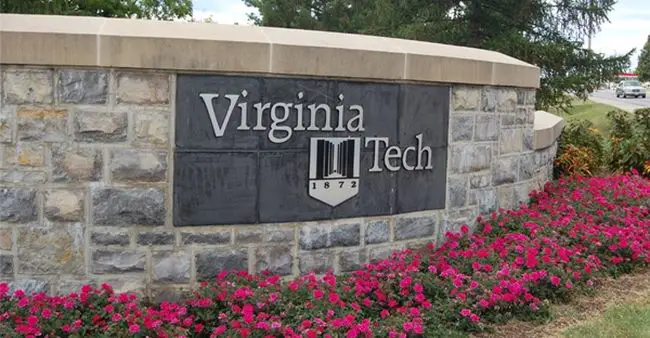 Top Universities to Study in Virginia