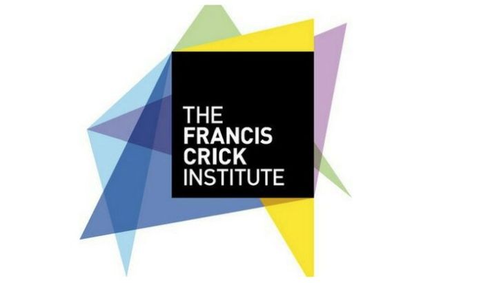 African Career Accelerator Awards for PhD Applicants