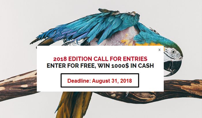 PhotogrVphy Magazine Grants for Worldwide Applicants