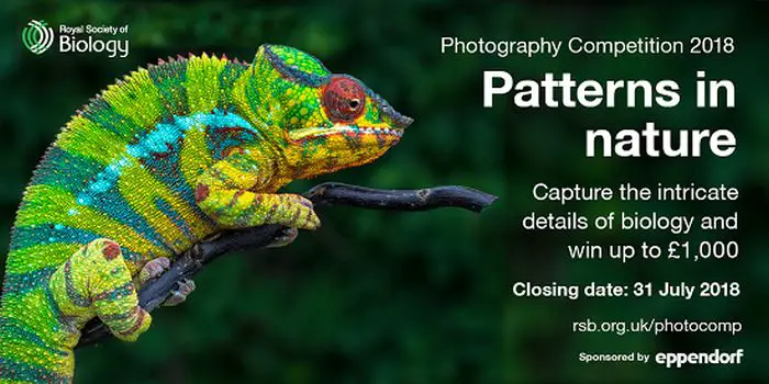 Royal Society of Biology Photography Competition for International Applicants