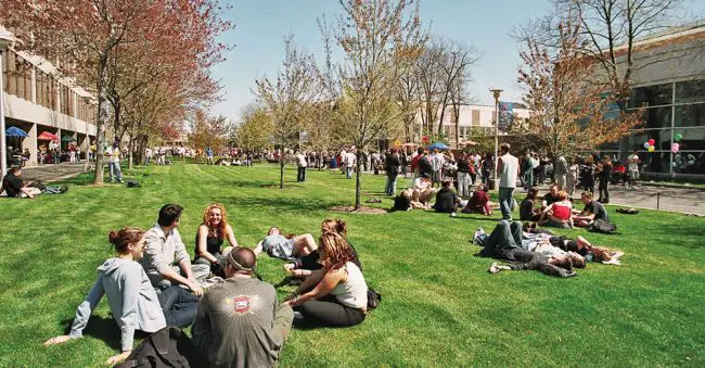 Top Arts Schools to Study in the U.S.