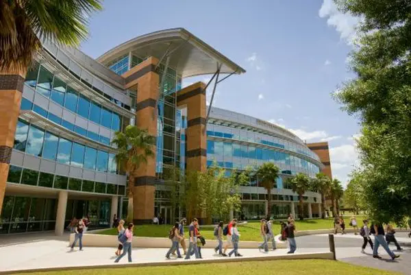 Top Engineering Schools to Study in Florida