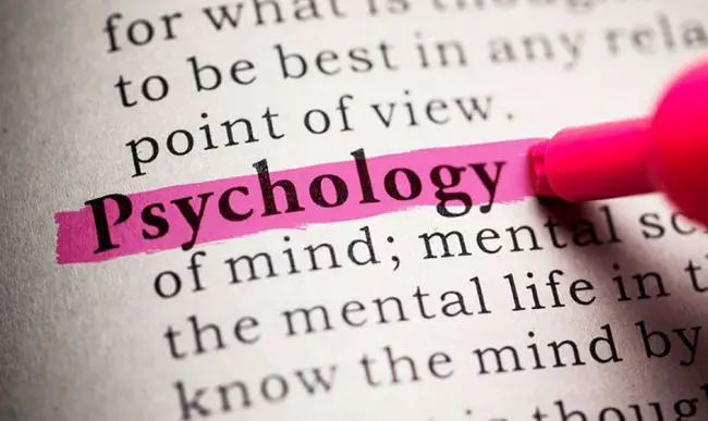 psychology phd programs north carolina
