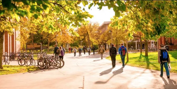 Top Universities to Study in Michigan