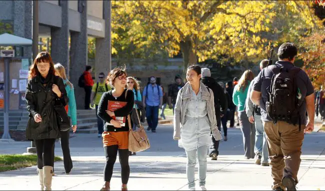 Top Universities to Study in Minnesota