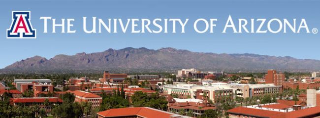 Best Colleges to Study in Arizona