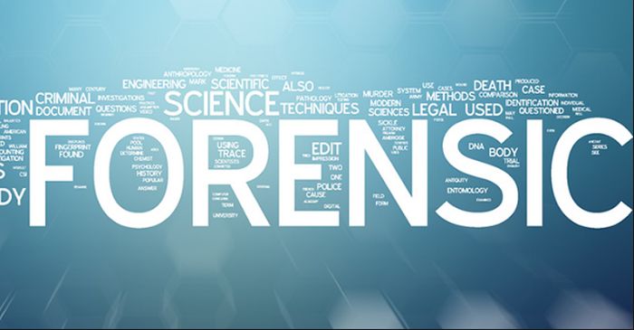 Best Colleges for Forensics