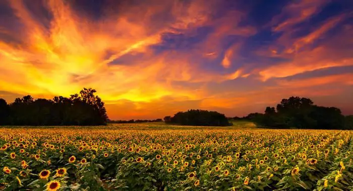 Best Colleges in Kansas