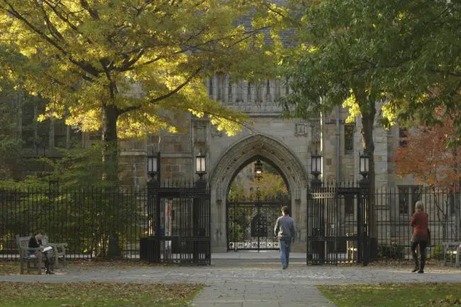 Best Lacrosse Colleges