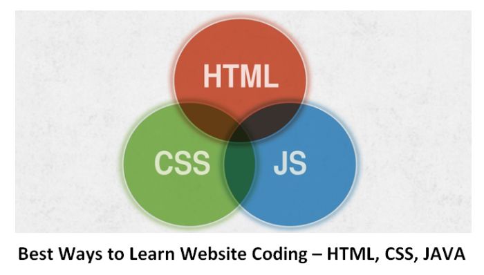 Best Ways to Learn Website Coding – HTML, CSS, JAVA