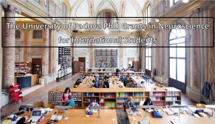 The University of Padova PhD Grants in Neuroscience for International Students