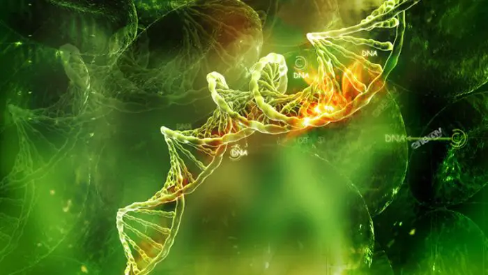 Top Biology Schools in the United States