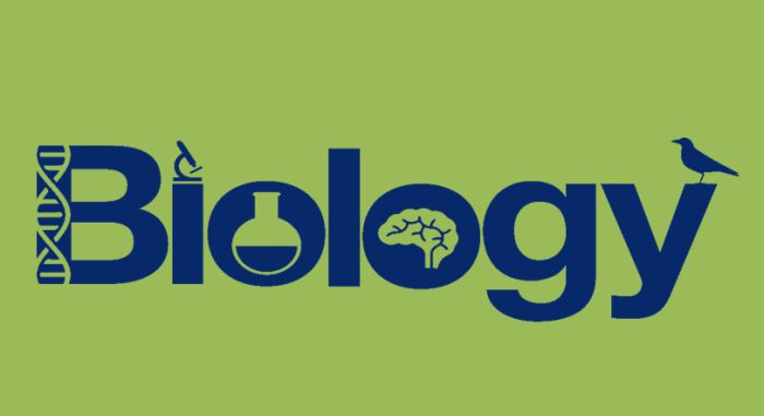 Top Biology Undergraduate Programs